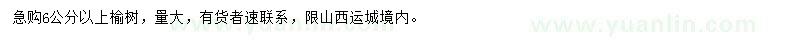 求購6公分以上榆樹