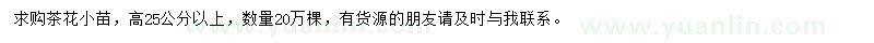 求購高25公分以上茶花