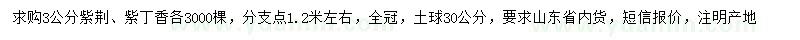 求購3公分紫荊、紫丁香
