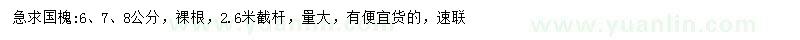 求購(gòu)6、7、8公分國(guó)槐