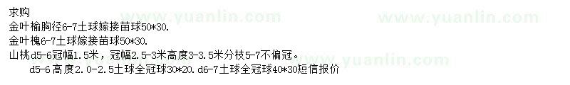 求購金葉榆、山桃、金葉槐