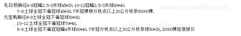 求購6-8公分毛白楊、8-12公分元寶楓