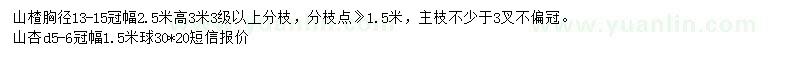 求購胸徑13-15公分山楂、地徑5-6公分山杏