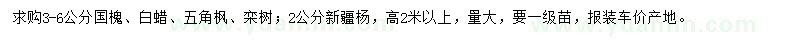 求購國槐、白蠟、五角楓等