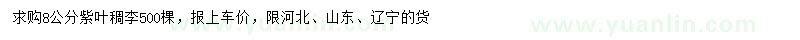 求購8公分紫葉稠李