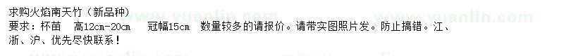 求購高12-20公分火焰南天竹