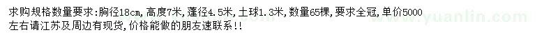 求購胸徑18公分櫸樹