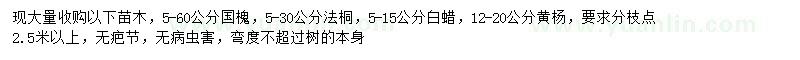 求購(gòu)國(guó)槐、法桐、白蠟等