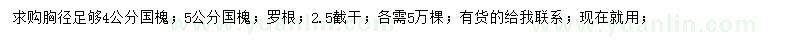 求購胸徑4、5公分國槐