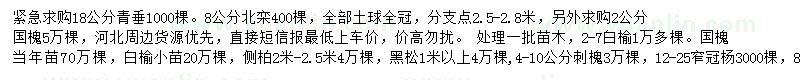 求購青垂、北欒、國槐等