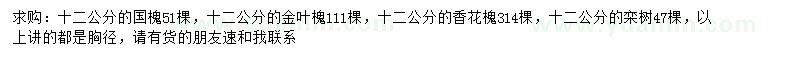 求購國槐、金葉槐、香花槐等