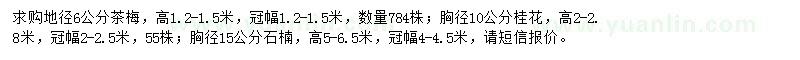 求購茶梅、桂花、石楠
