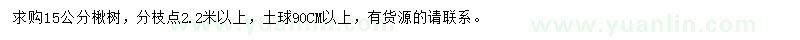 求購15公分楸樹