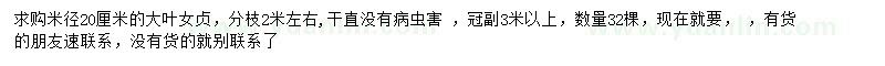 求購米徑20公分大葉女貞