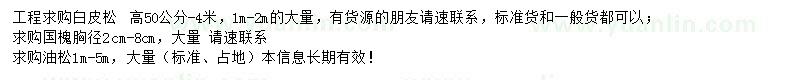 求購白皮松、國槐、油松
