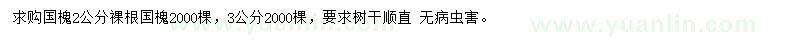 求購2、3公分國槐