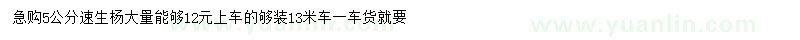 求購5公分速生楊