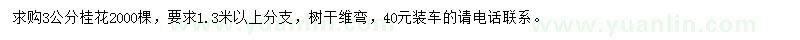 求購3公分桂花
