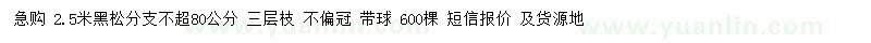 求購2.5米黑松