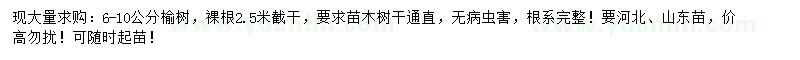 求購(gòu)6-10公分榆樹(shù)