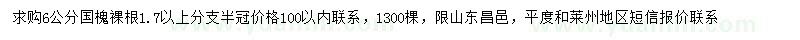 求購6公分國槐
