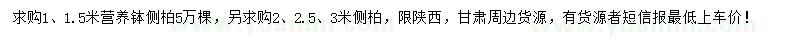 求購1、1.5、2、2.5、3米側(cè)柏