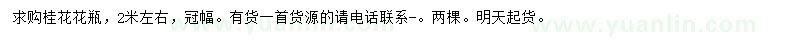 求購2米左右桂花花瓶