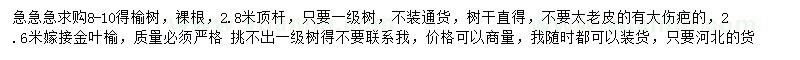 求購8-10得榆樹、2.6米嫁接金葉榆