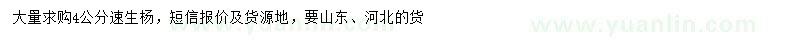 求購4公分速生楊