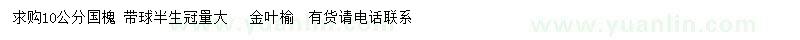 求購10公分國槐、金葉榆