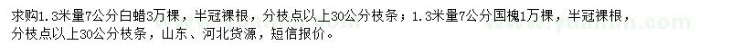 求購(gòu)1.3米量7公分白蠟、國(guó)槐