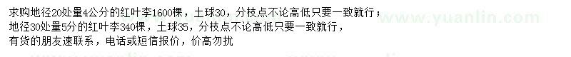 求購地徑20、30處量4、5公分紅葉李