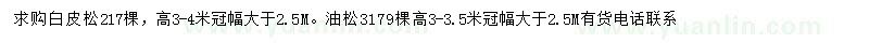 求購(gòu)高3-4米白皮松、高3-3.5米油松