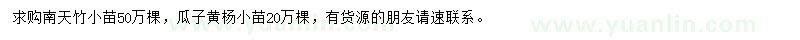 求購南天竹、瓜子黃楊