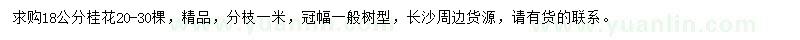求購18公分桂花