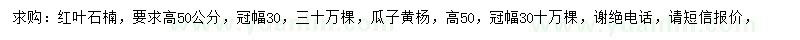 求購高50公分紅葉石楠、瓜子黃楊