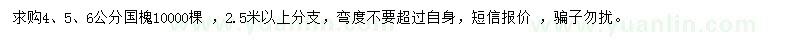 求購4、5、6公分國槐