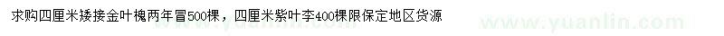 求購4公分金葉槐、紫葉李