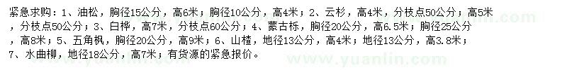 求購油松、云杉、白樺等