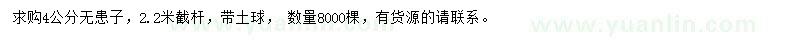 求購4公分無患子