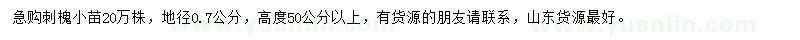 求購地徑0.7公分刺槐小苗