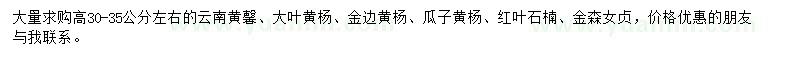 求購云南黃馨、大葉黃楊、金邊黃楊等