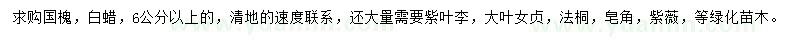 求購(gòu)國(guó)槐、白蠟、紫葉李等