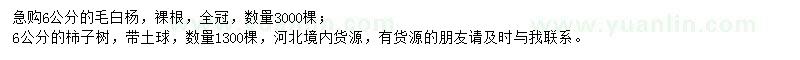 求購6公分毛白楊、柿子樹