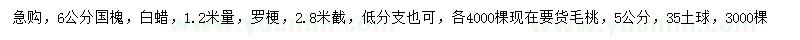 求購國槐、白蠟、毛桃