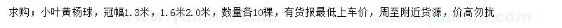 求購冠幅1.3米小葉黃楊球