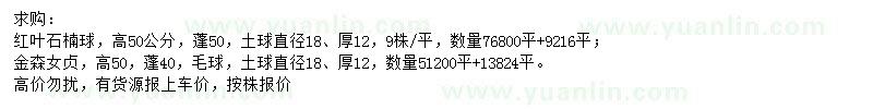 求購高50公分紅葉石楠球、金森女貞