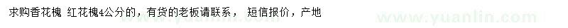 求購4公分香花槐、紅花槐