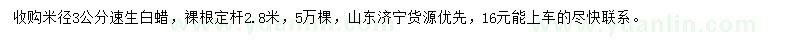 求購米徑3公分速生白蠟