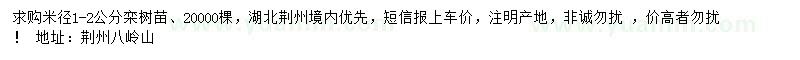 求購(gòu)米徑1-2公分欒樹(shù)